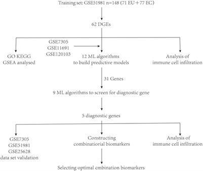 Machine learning-based integrated identification of predictive combined diagnostic biomarkers for endometriosis